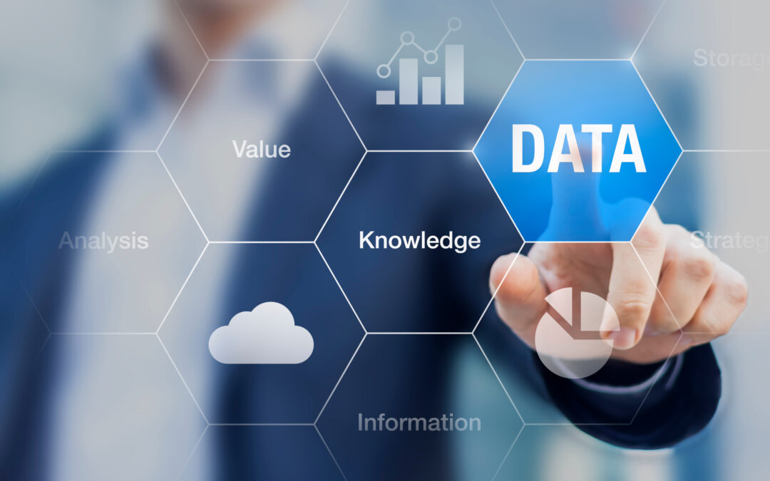 Gli Open Data di Pisamo